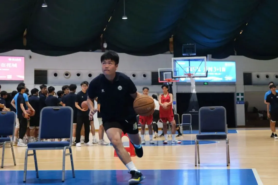 哪里能找到分卫的技术分析视频_0
